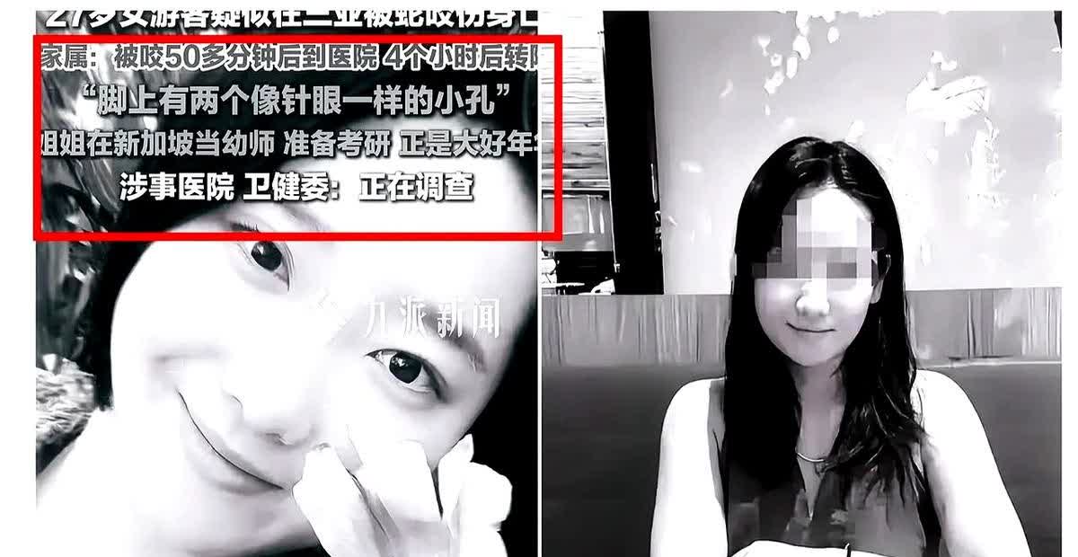 三亚那个被蛇咬的姑娘，现在真相大白，咬她的是银环蛇，毒液