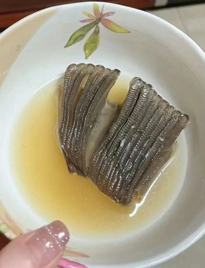 一人说个关于女性的炸裂冷知识女性上升期的长期战争
