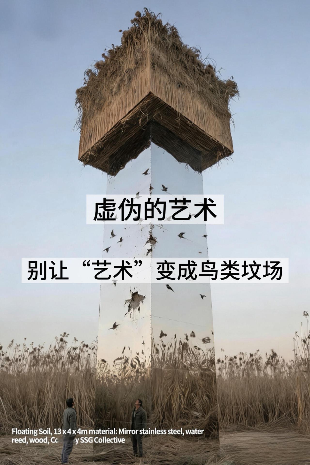 这事真挺让人来气的。几个英国皇家艺术学院出来的设计师，在洞庭湖搞了个纯镜面的柱子