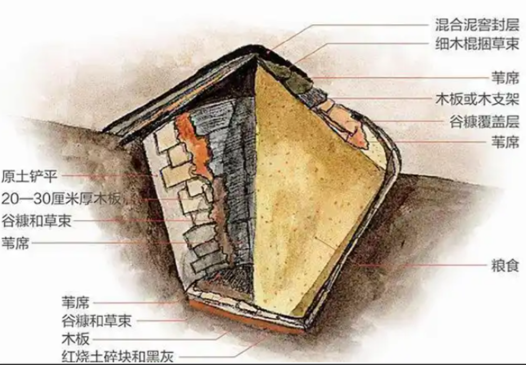 1971年，埋葬1300年的“天下第一粮仓”被打开，窖里竟装了60多万斤粮食，研