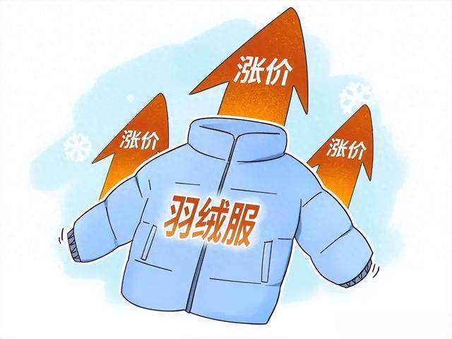 “1吨鸭绒从17万元涨到58万元”, 是谁在推高“冬日战袍”价格?