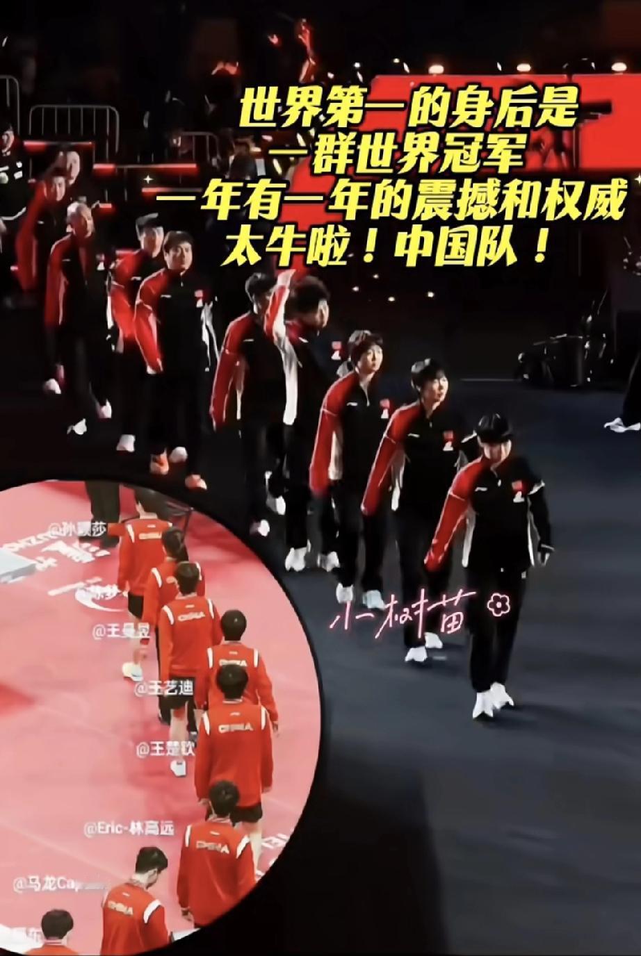 莎莎气宇轩昂的走在前面，后面跟着一群冠军。发现龙队、陈梦在的时候她就打头阵，如今