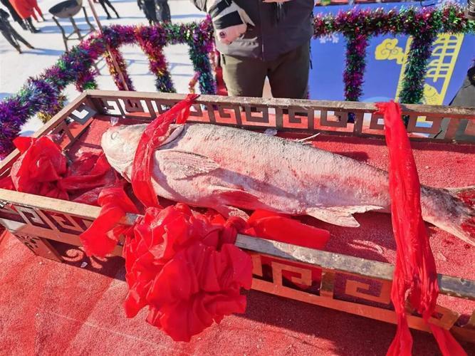 零下二十多度的查干湖，冰面都冻得邦邦硬，可捺钵广场上却热闹得冒热气！今天第24届