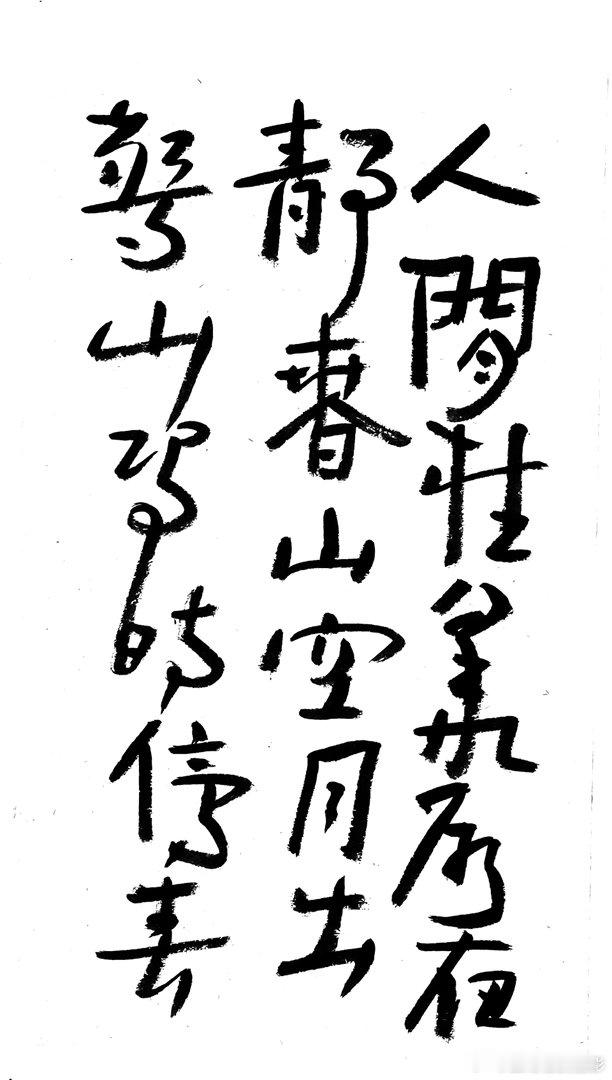 书法王鹭佳：书法好玩要好好的玩。书法是讲究法度的艺术，更是讲究文化内涵的艺术