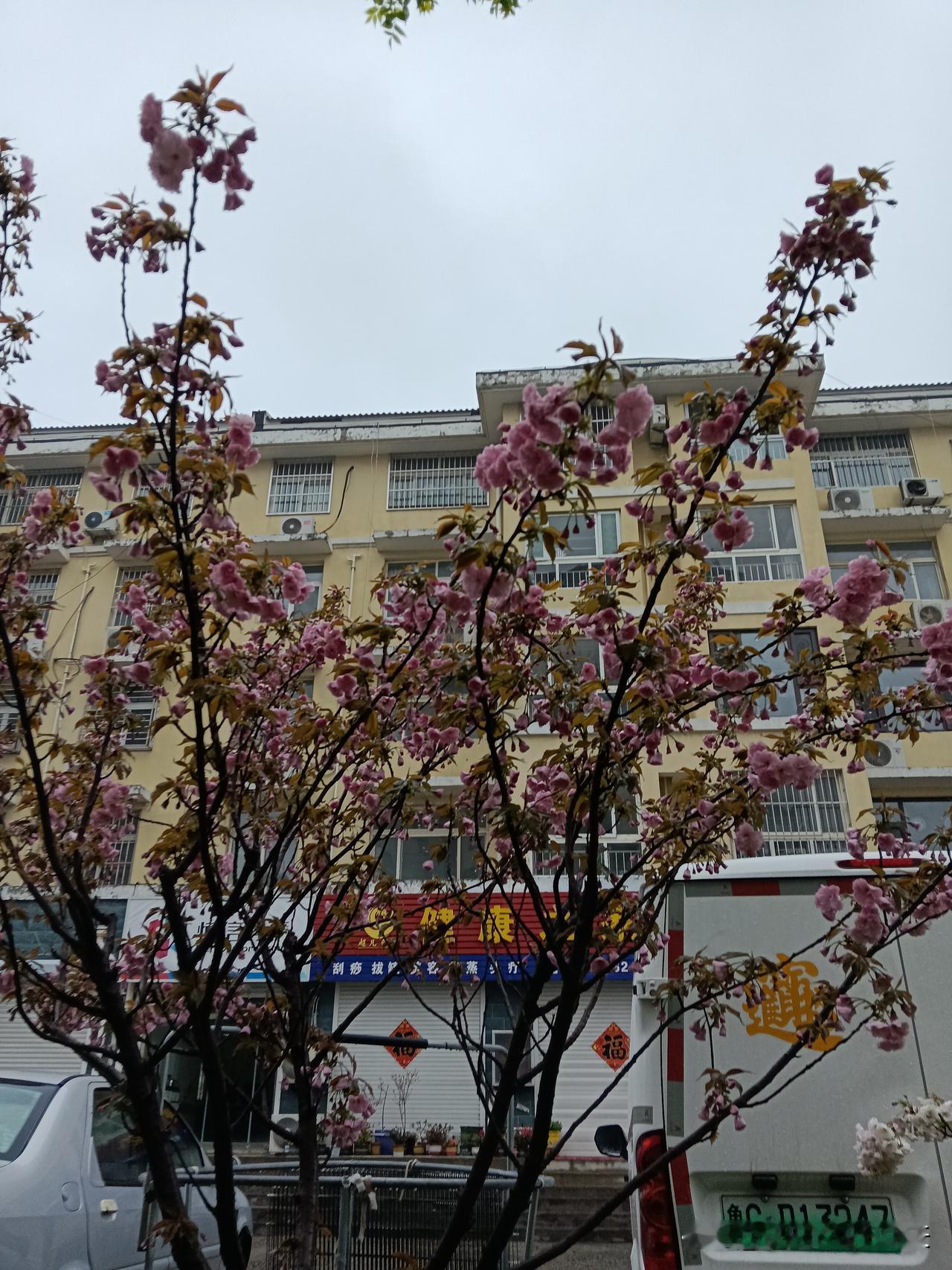 不管你信不信，从车可以看出男人混得如何1．没钱的人一开长安。2．打工的人一开