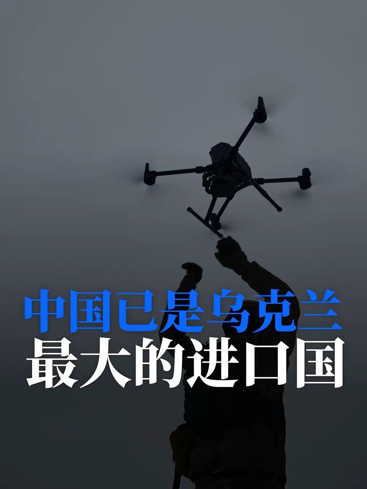 中国已是乌克兰最大的单一进口国。作为一个被战争破坏的国家，乌克兰需要大量价格合