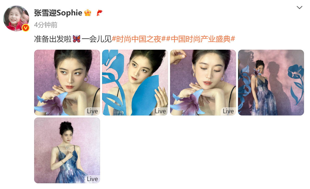 张雪迎蓝色百合裙张雪迎性感女人蓝色百合长裙造型，V领露出锁骨还有点小性感呢！