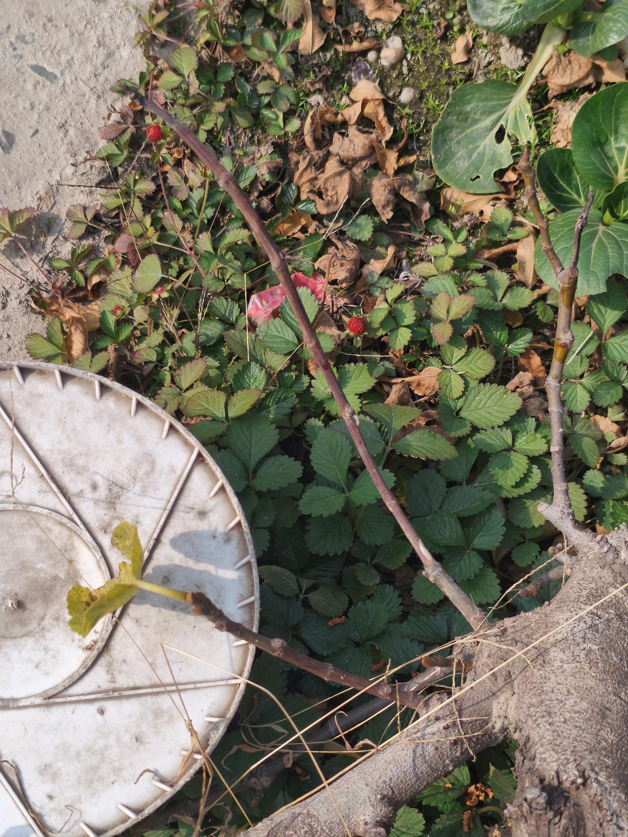 当身边的人一个个离去，最后只剩下你一个人的时候，这就是最大的幸福。人生，就是