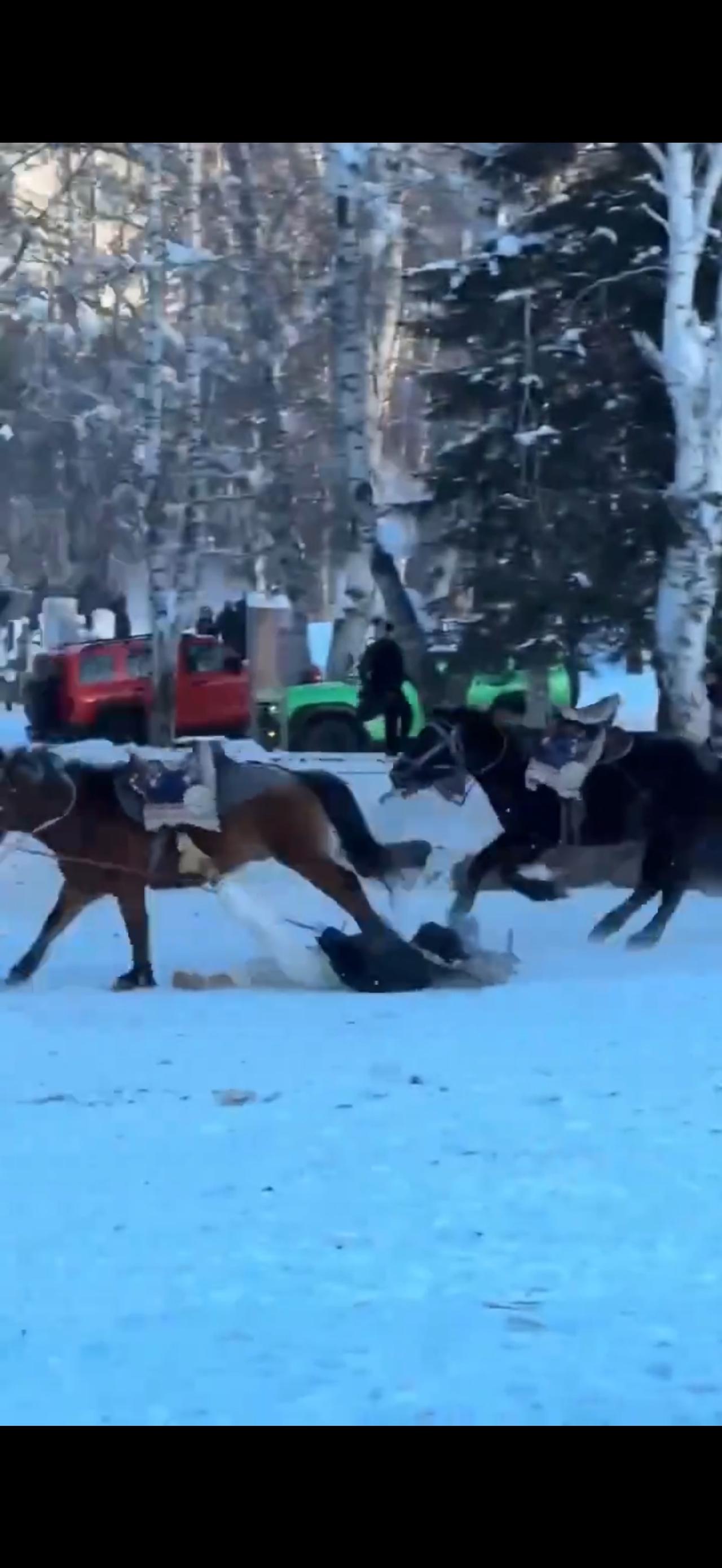 红袍女局长坠马身亡：是“作秀”还是“拼命”？这结局真的看哭我了！家人们，那个