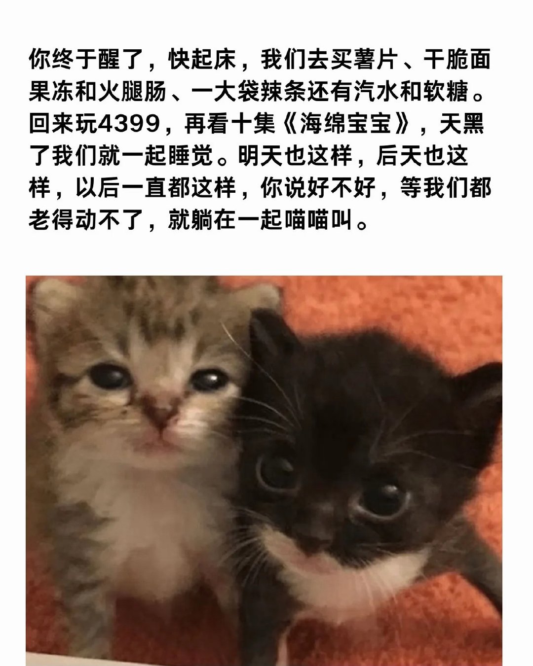 死神vs火影