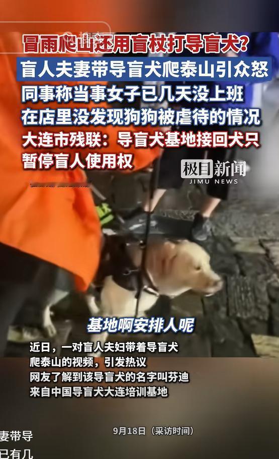 不作就不会死！山东，一对盲人夫妻穿着橙色雨衣，牵着导盲犬雨夜爬泰山，导盲犬全身湿
