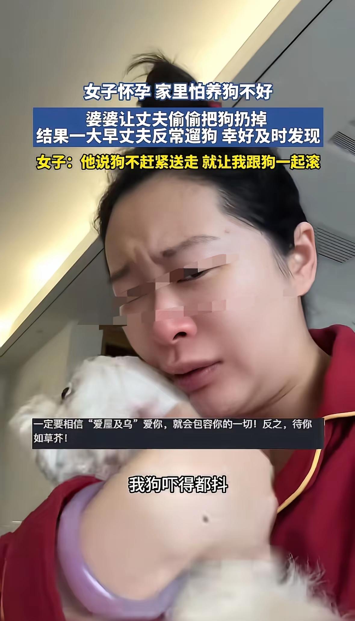 “狗是亲生的？女子怀孕，婆家担心宠物携带病菌，就想把小狗悄悄送走，女子得知后竟当