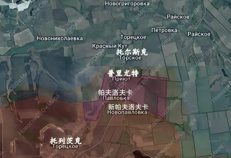俄军中部集群占领了帕夫洛夫卡北面的普里尤特，继续向着托尔斯克攻击前进。这个方向的
