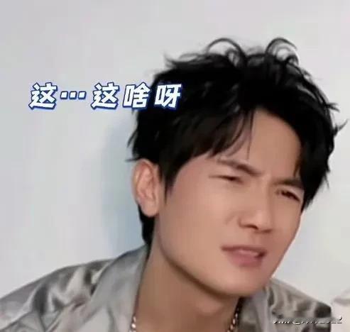 陈楚生陆虎你俩快来看啊苏醒王栎鑫张远王铮亮扫腿舞搞抽象今夕是何年
