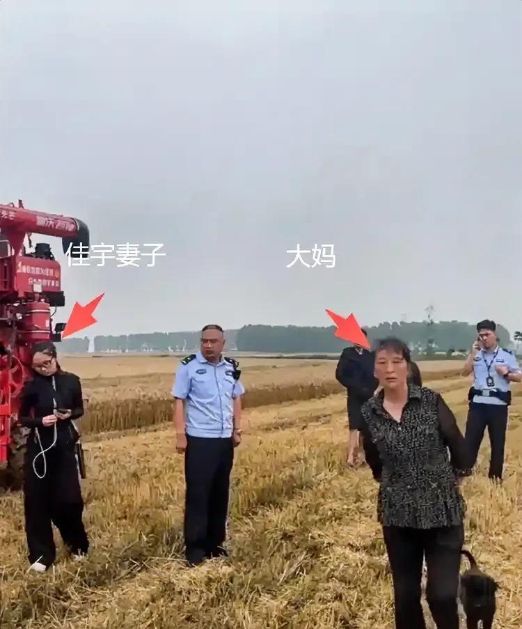最近襄阳麦收的“割四赔五”事件，真的越看越气，越想越寒心！真会把人气出心病，