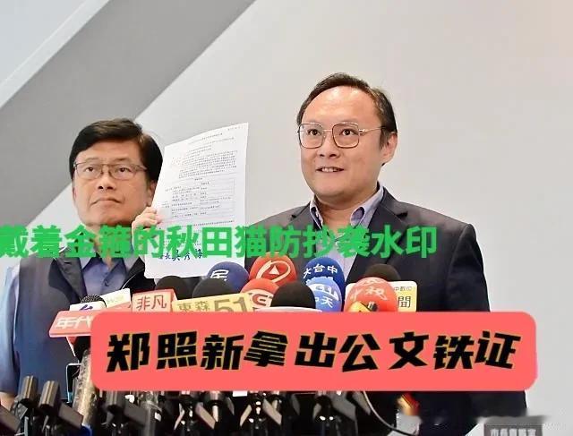 卢秀燕的副市长也不尿性，面对绿营甩锅甩出铁证！郑照新亮出公文反呛绿营当局：两年前