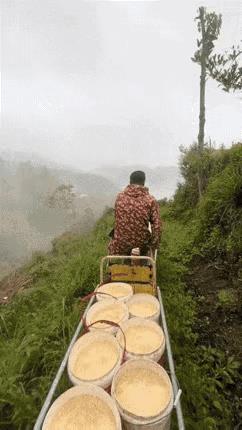 纯天然散养鸡自动化了……这样的鸡肉更好吃，价格会更高吗？