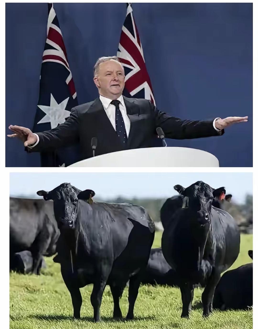 制裁不过夜！就在中国解放军2025围台军演结束，澳大利亚脑瓜子嗡嗡的，31日，