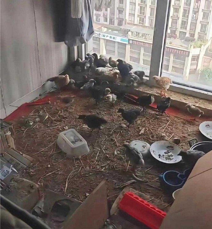 乡下的丈母娘住我家半年，一间小卧室就变成这样了​​​
