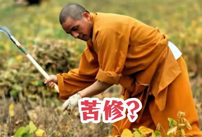 别怪和尚，要斩断红尘做到六根清净是很难的。只有两种人容易修行成功，一种是经历了