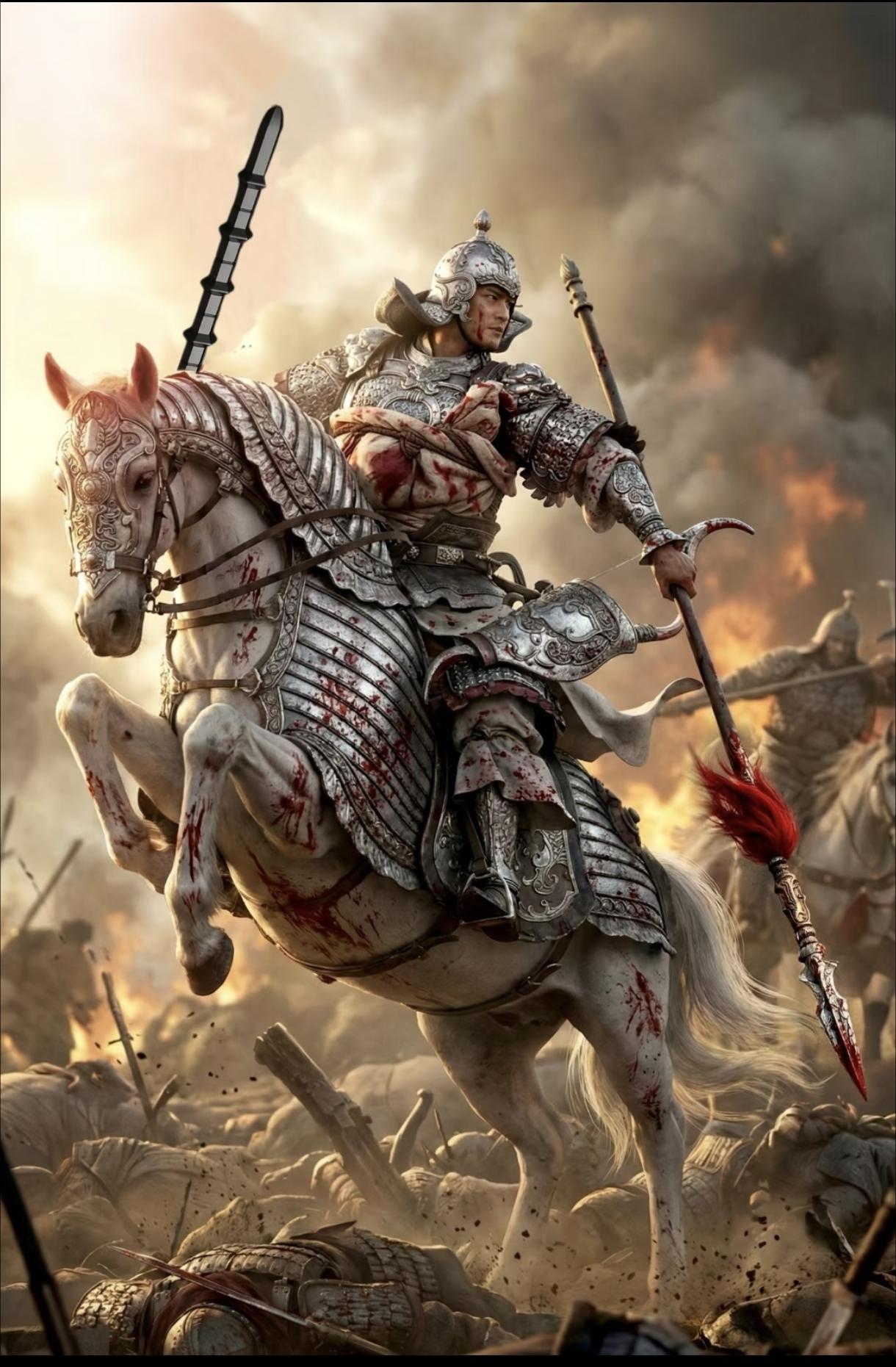 杨再兴冲阵的时候，金军还没反应过来。他胯下那匹黑马是三天前从金兵手里抢的，跑