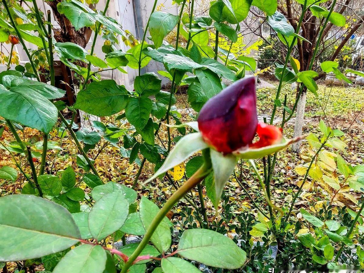 朋友离婚了，俩口子有一儿一女，几套房子，原本可以过不错的日子，但还是离了！男的