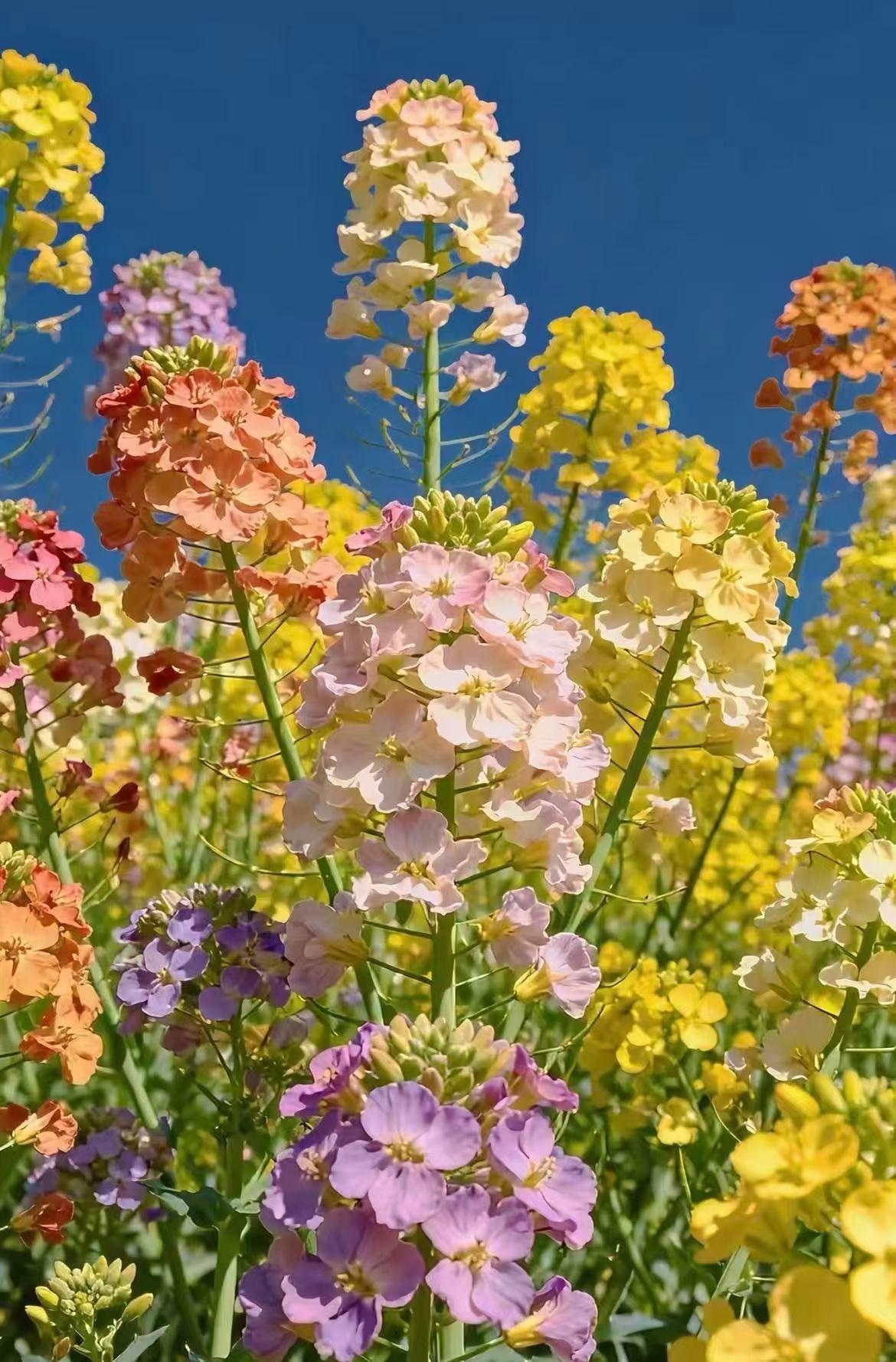 1、钱给情人是傻帽。2、钱给小三是无底洞。3、钱给老婆是正道。4、钱给父母