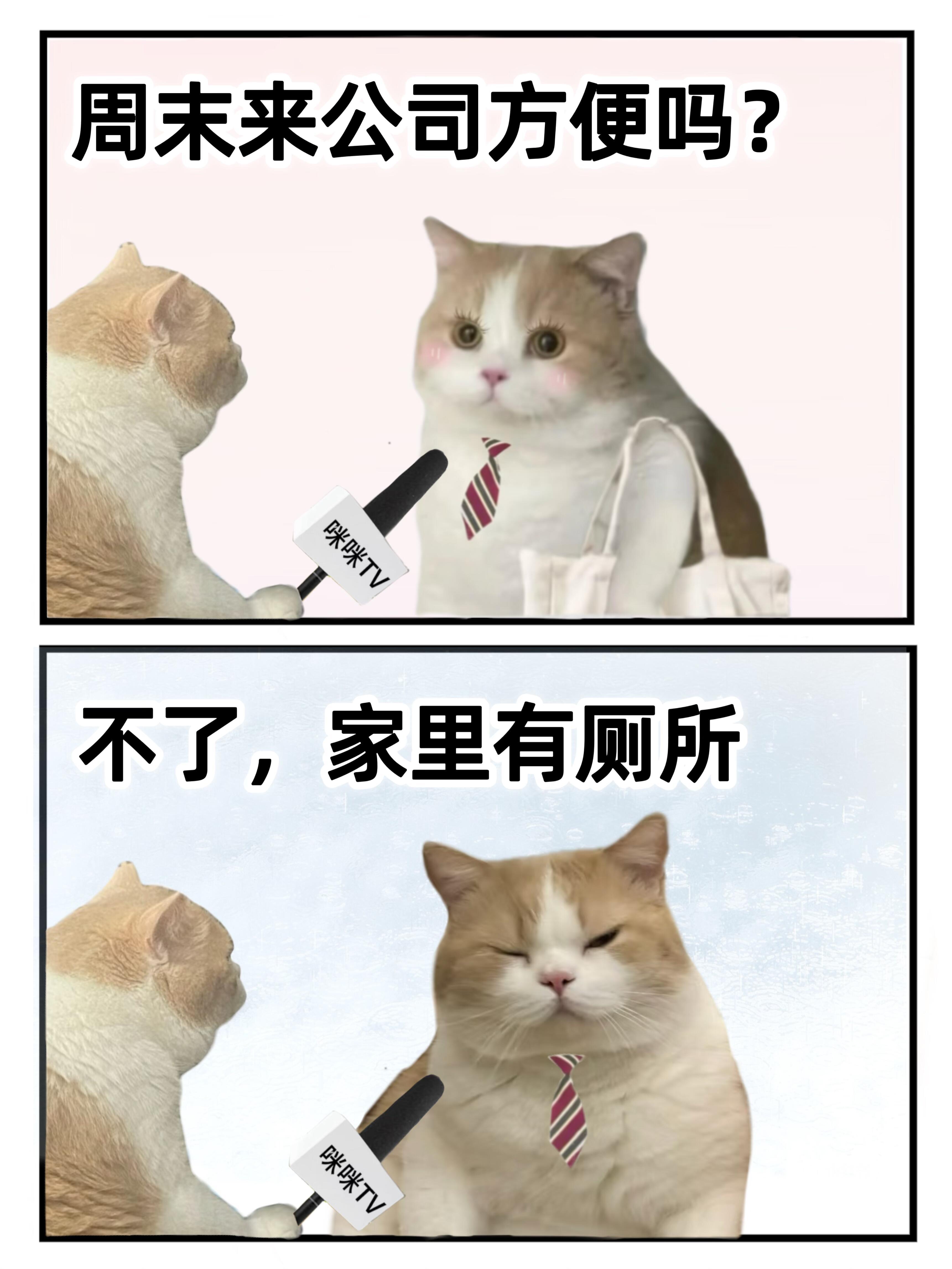 ²⁰²⁶☻°｜🏝.𓂃.𓂃“人可以菜，但必须会装