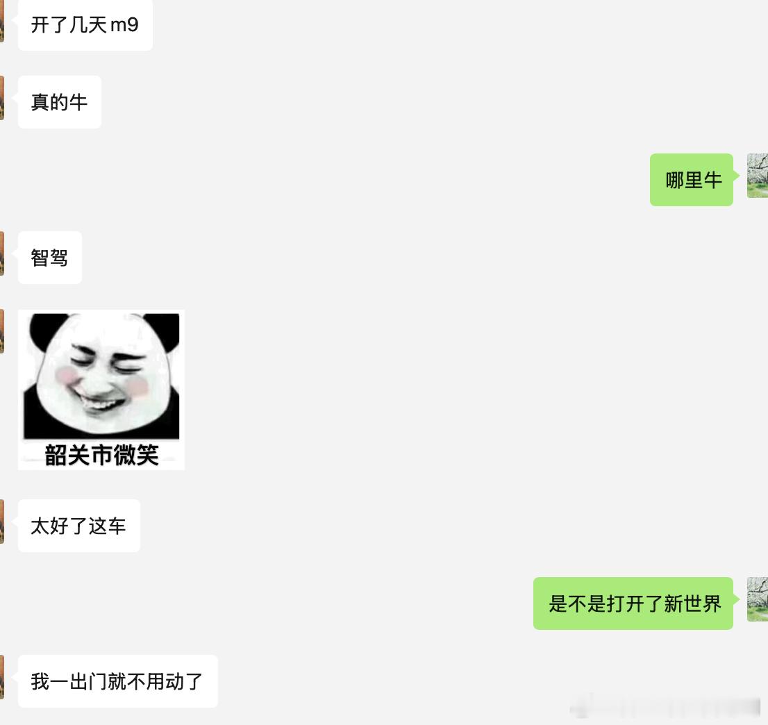 朋友一家去东北自驾（奔驰S级、卡宴、一代es8车主），租了台问界M9几乎没怎么接