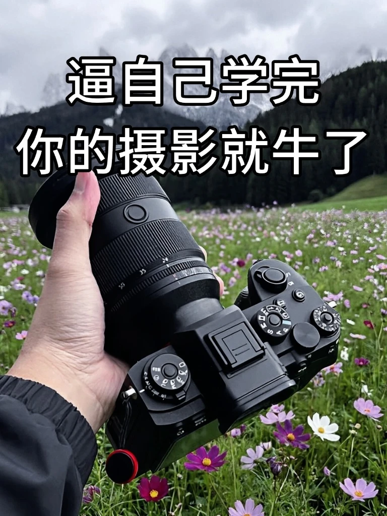 逼自己学完！你的摄影就牛了‼️