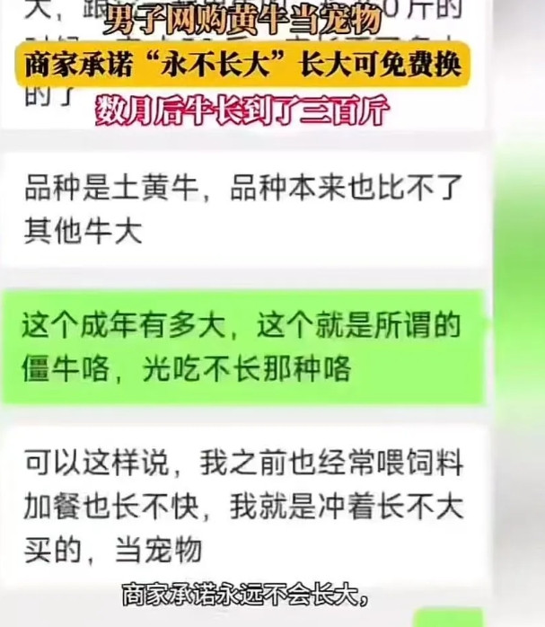 “原来真有稳赚不赔的生意！”
