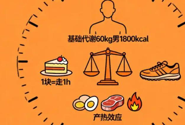 现代手机快充功率已经飙到240瓦，而创造出相对论和量子力学的人类大脑，日常运转功