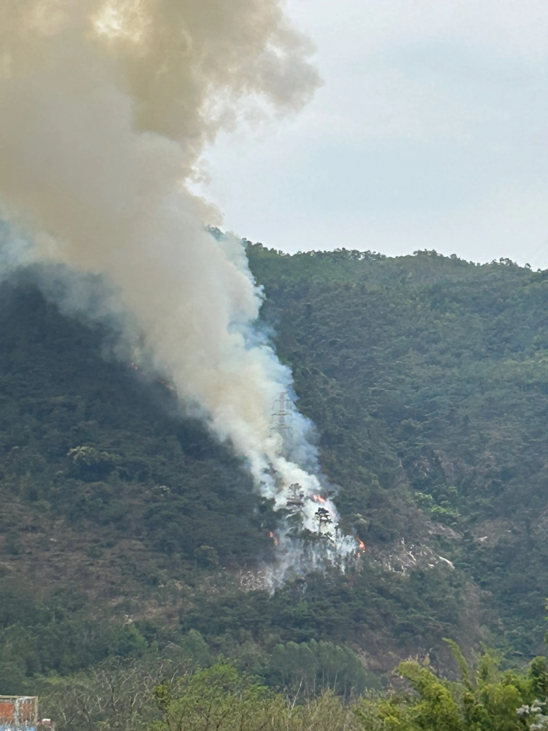 #肇庆羚山山火调查结果公布#【肇庆羚山山火调查结果披露！两人在枯叶处乱丢烟头，被