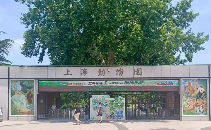 夫妻带10个月大的婴儿游览上海动物园，用奶瓶给孩子喂奶却遭到工作人员的粗暴驱逐！