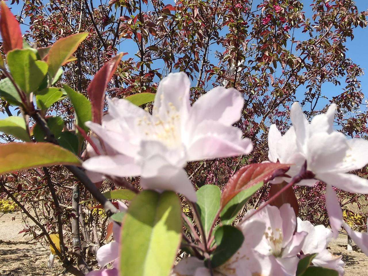 一场小雨淅淅沥沥下个不停，打在脸上有些微微的冷。这雨，让我想起杜牧的《清明》。“