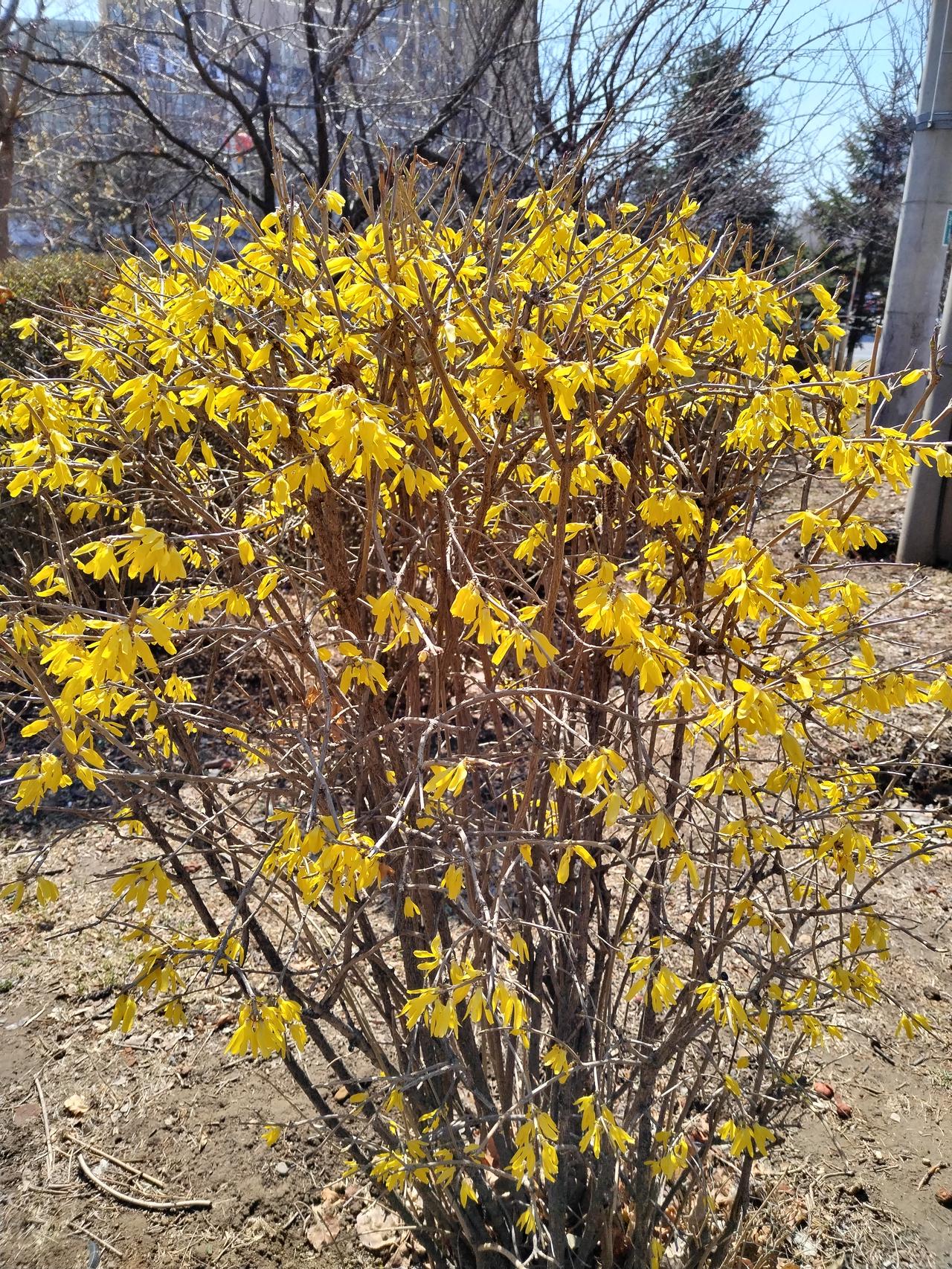 春天肝火旺盛，脾气容易暴躁，这个季节护肝是很重要的。今天教你养肝简单也最管用