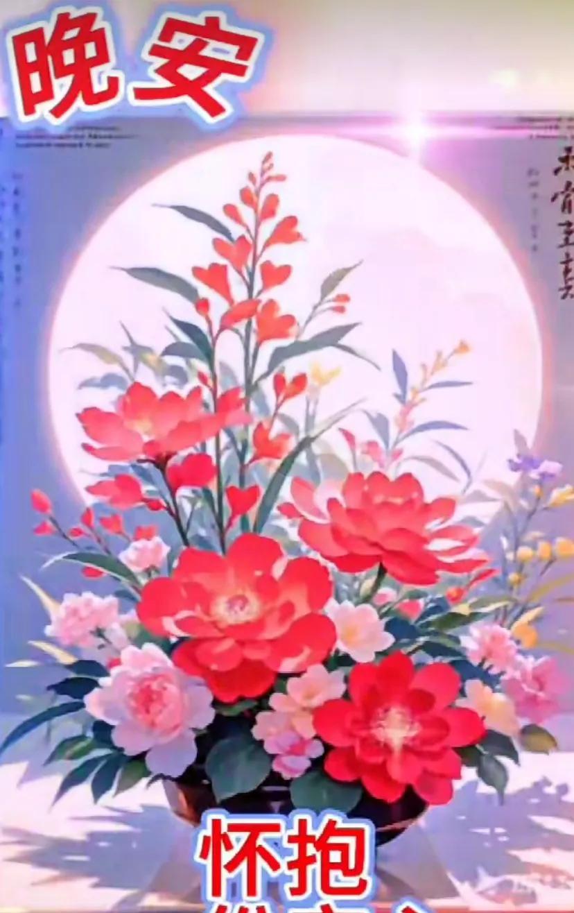 晚安，愿你每晚都怀抱着一份安心入睡。