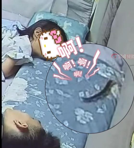 很多人家里看着干净，其实暗藏隐患，尤其是晚上睡觉的时候，真的防不胜防。最近就