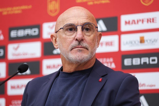 德拉富恩特谈苏比门迪&罗德里：“在经历了所有的挫折之后，罗德里回归了高水平。我之