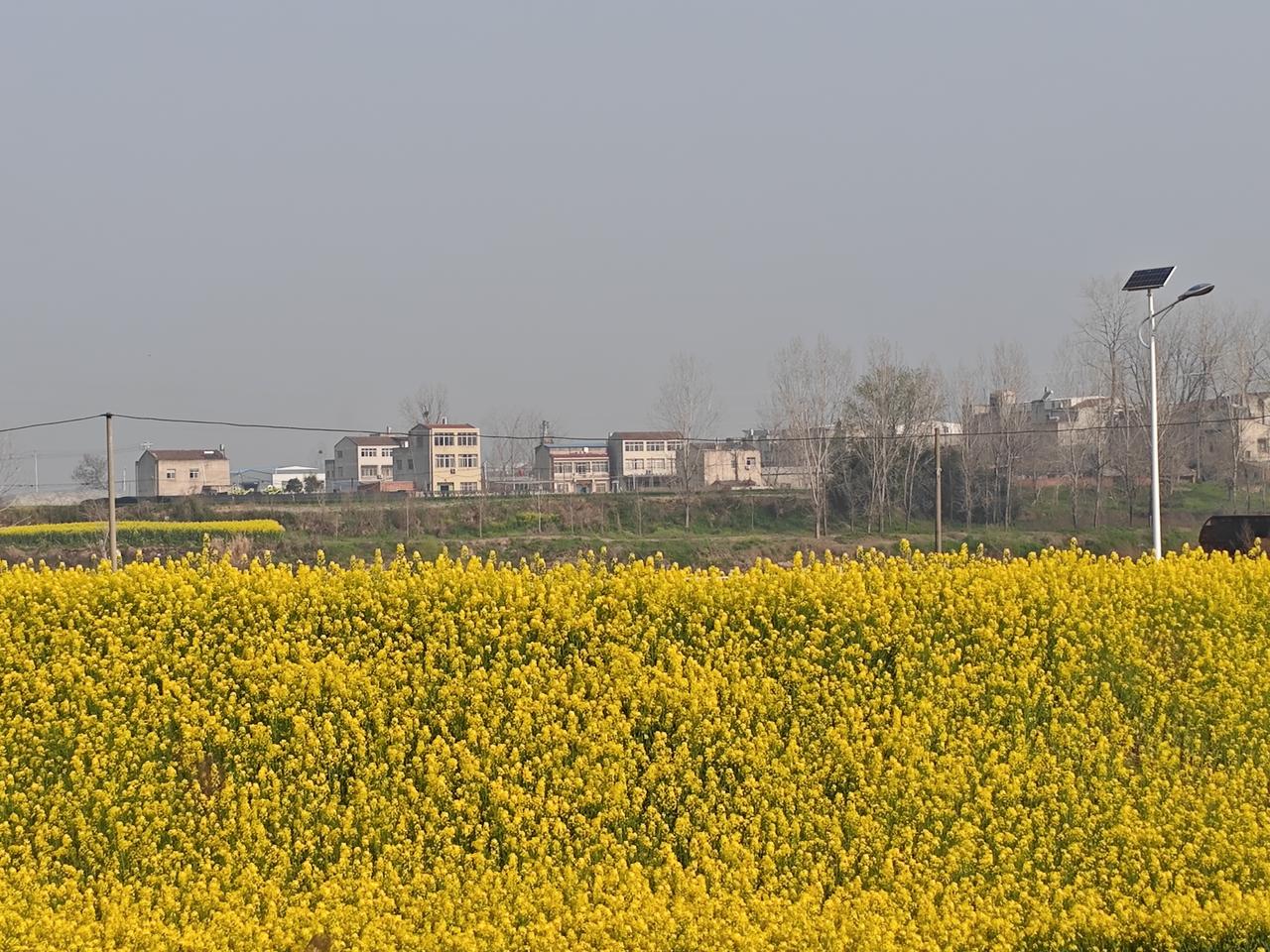 民办教师转正，上师范进修的二年算工龄，不算教龄，在职时和退休时分别有什么影响？