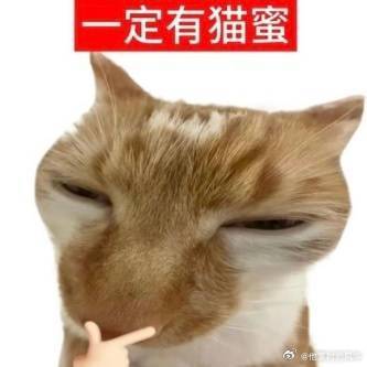 00后父母的养娃装备有多卷00后父母的养娃装备让人惊叹，小物件细节拉满，兼顾安全