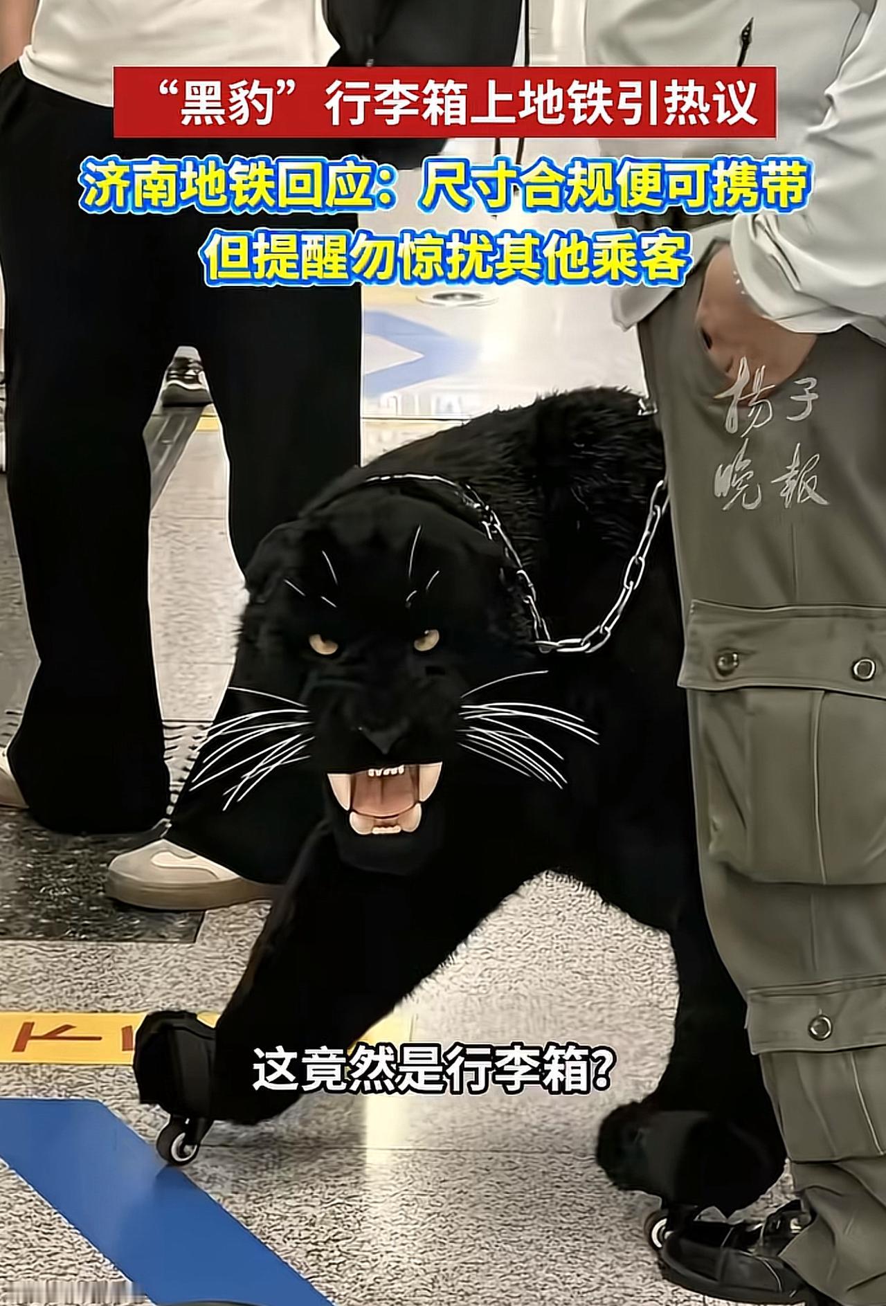 “显眼包！”济南，一男子在地铁站，手里牵着一只大黑豹，尖嘴獠牙很吓人，乘客都躲的