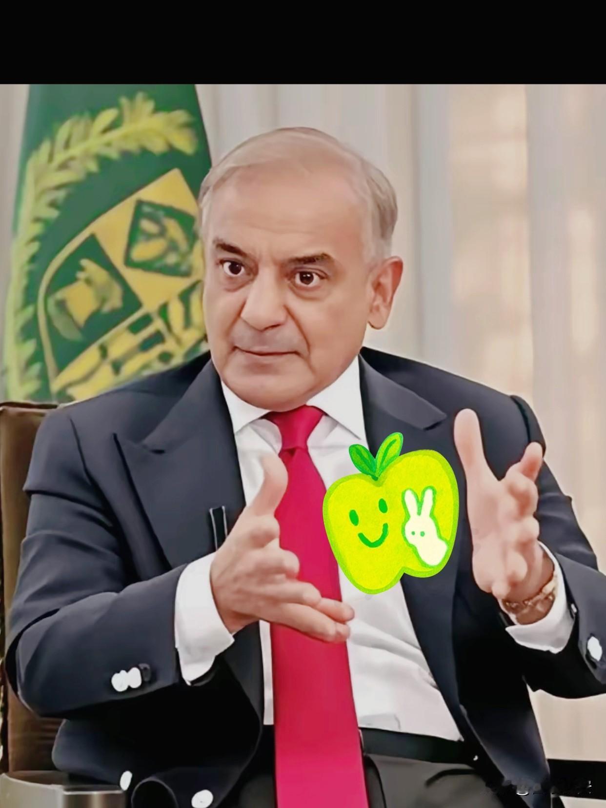 快讯！快讯巴基斯坦总经理宣布11月23日，巴基斯坦总理谢里夫在接受采访时表示