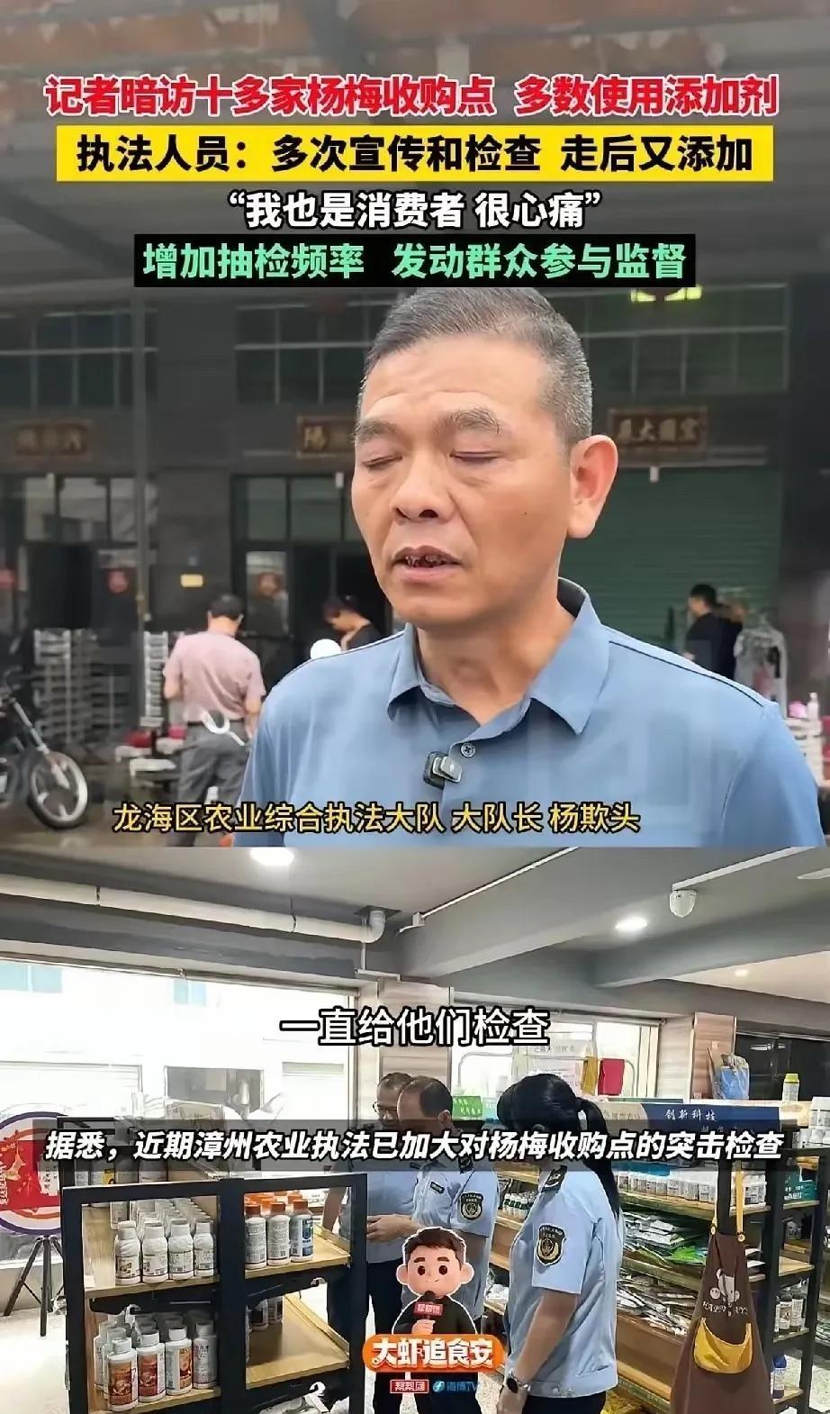 这下彻底闹大！漳州杨梅传遍全国，老实果农被黑心商贩害惨这下好了，这件事不仅