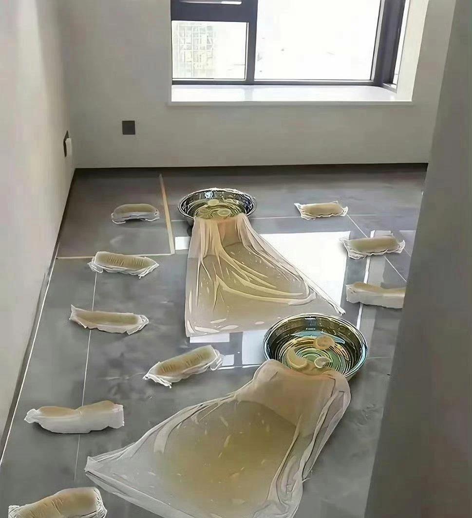 不懂就问，这是用来吸甲醛的吗？