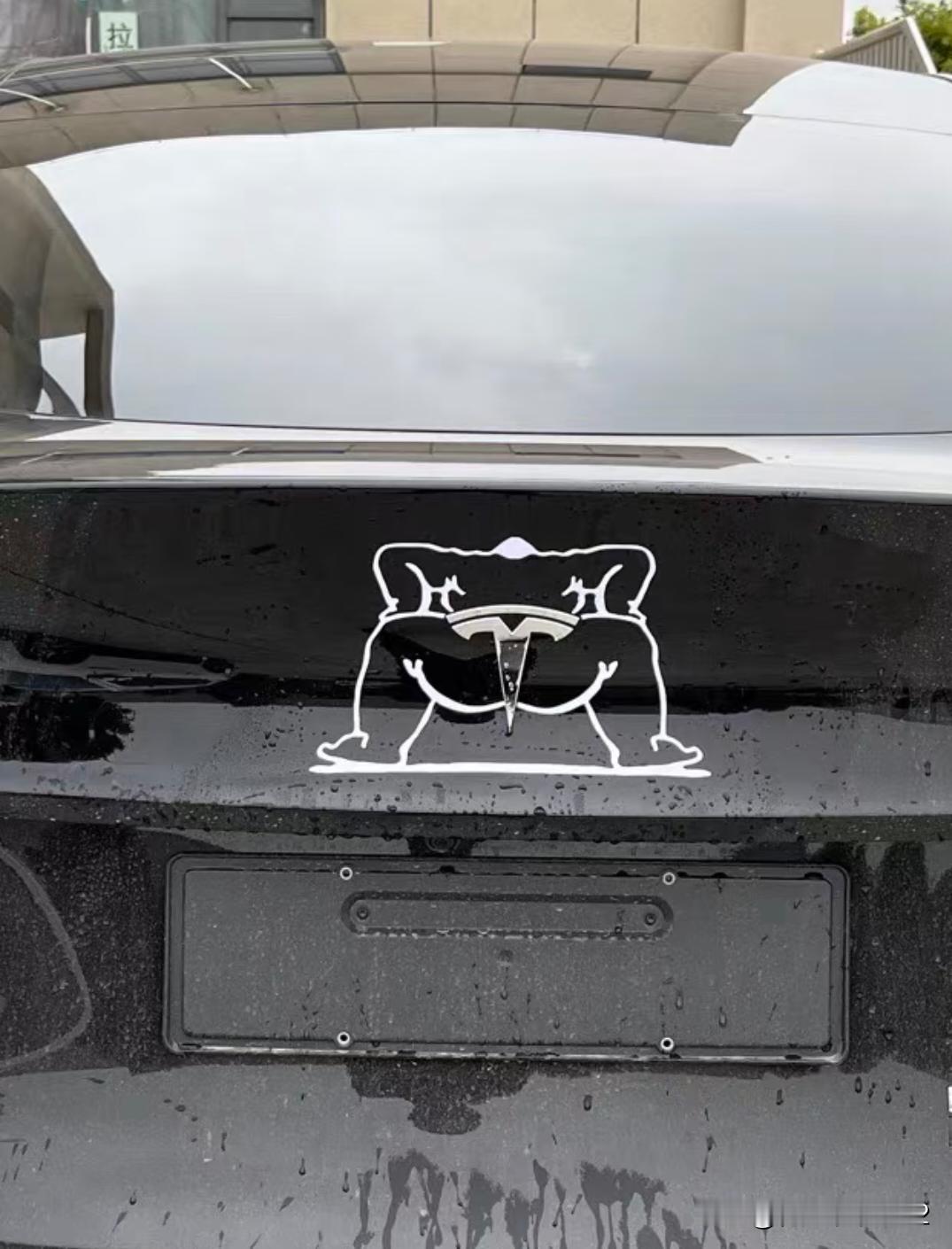 这不妥妥的变成特能拉了？[捂脸哭]