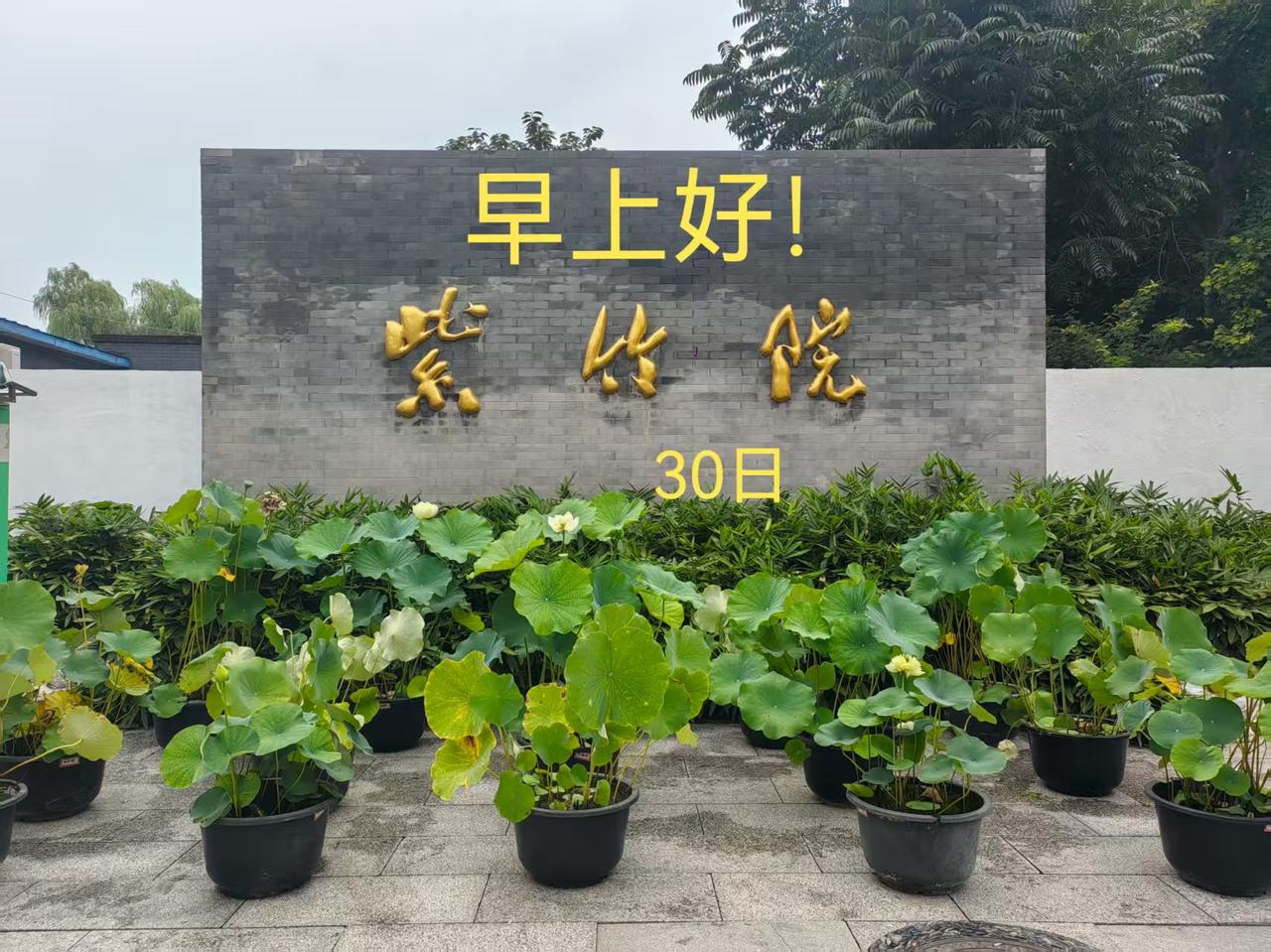 干不了就别干!一个孩子10天内被罚站7次,批评是16次,对于这样的孩子管教,