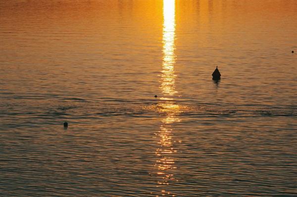 河南一名网友拍摄的“黄河之水天上来”奇观迅速走红网络，究竟是自然奇观还是光学现象