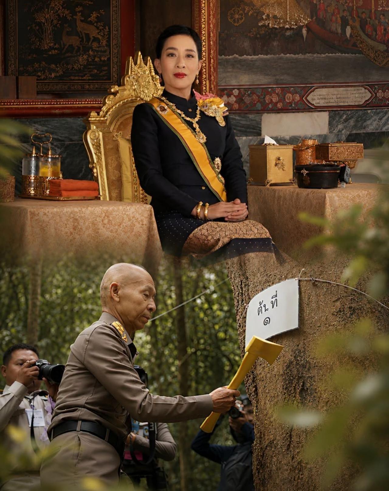 帕公主殿下皇家火葬，檀香木砍伐仪式 2026年8月20日，泰国巴蜀府奎武里国