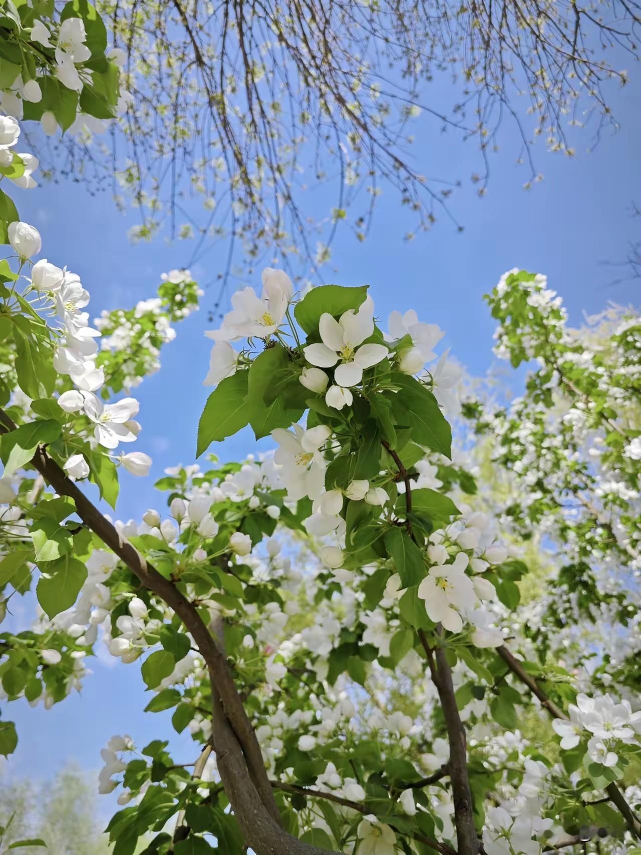 多做旺自己的事一、先讲透：什么叫“旺自己”？不是转运、不是暴富，而是让